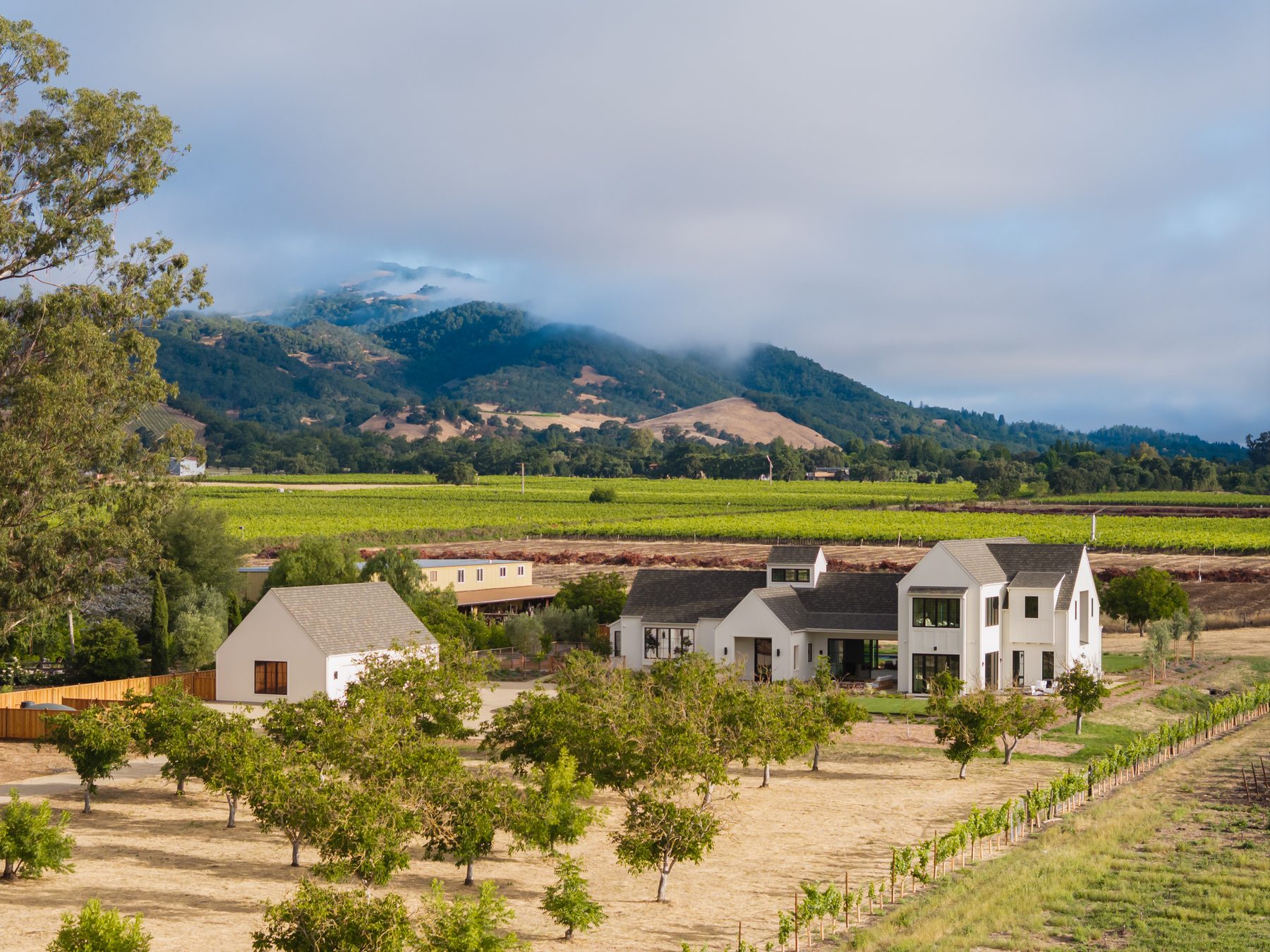 Estate at dusk with vineyard in the foreground